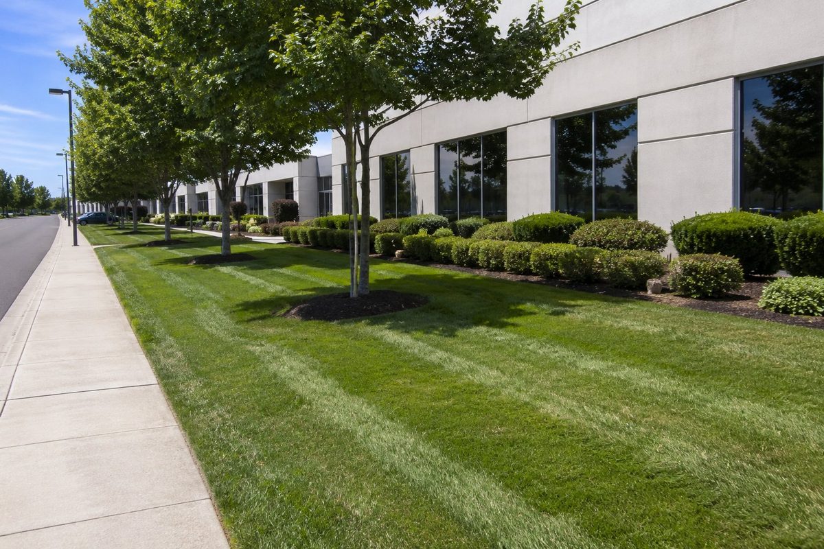 Commercial property lawn care in Forney TX