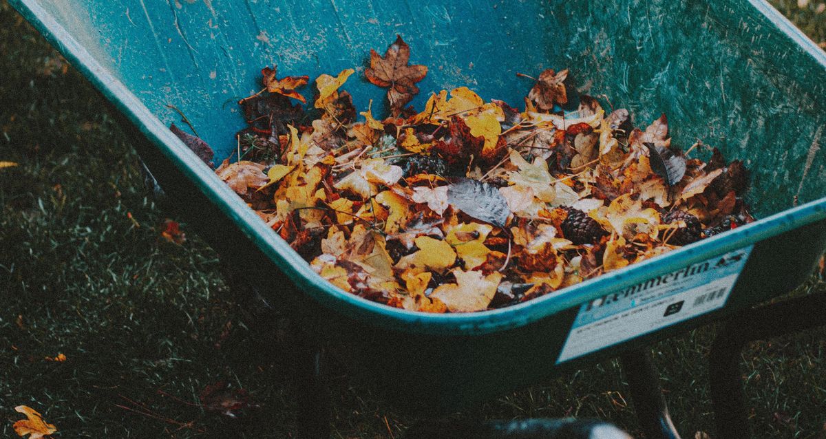 Leaf and debris removal in Forney TX